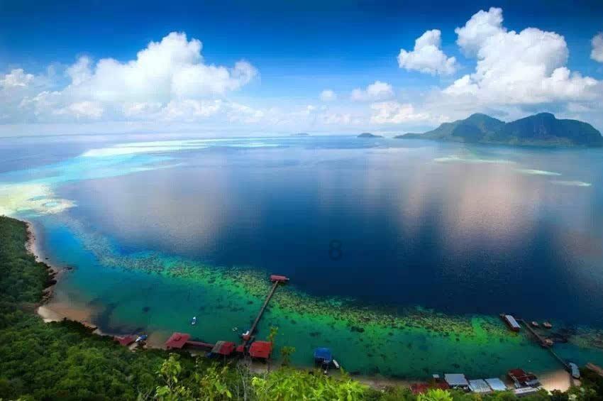 厉害了我的巧虎8
